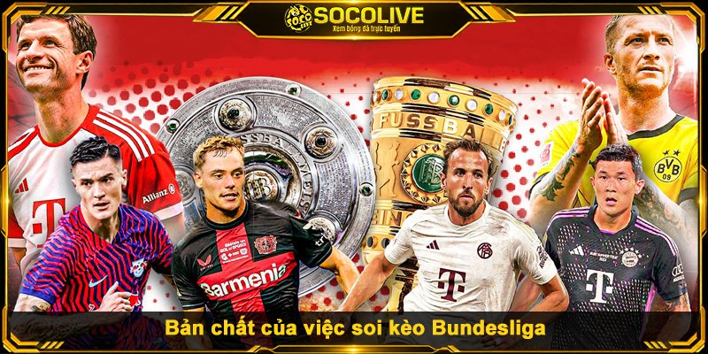Bản chất của việc soi kèo Bundesliga