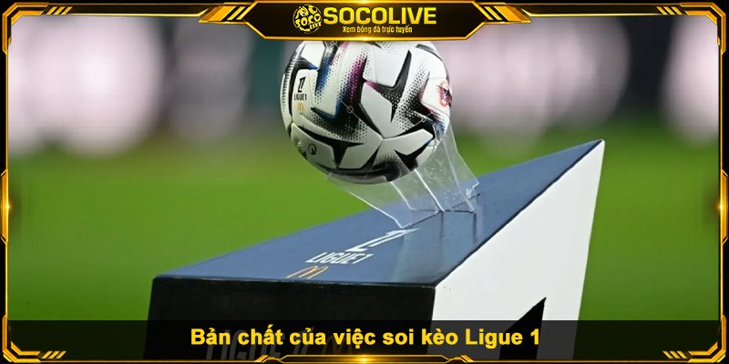 Bản chất của việc soi kèo Ligue 1