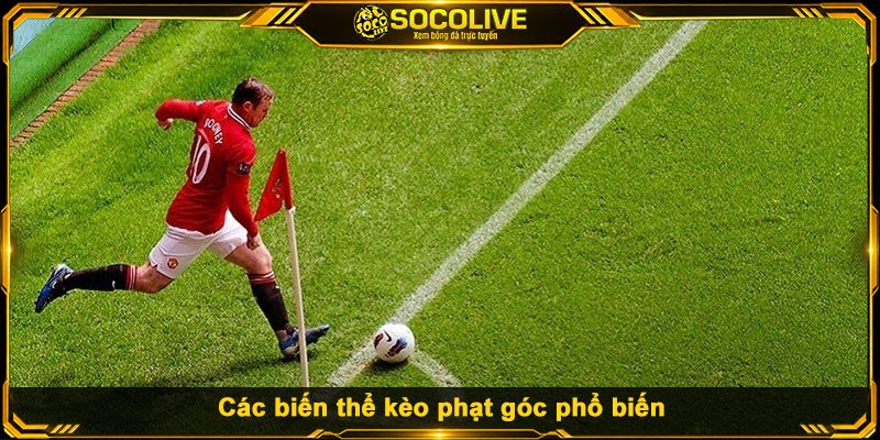 Các biến thể kèo phạt góc phổ biến
