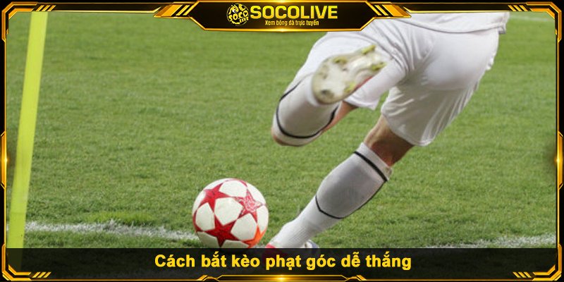 Cách bắt kèo phạt góc dễ thắng