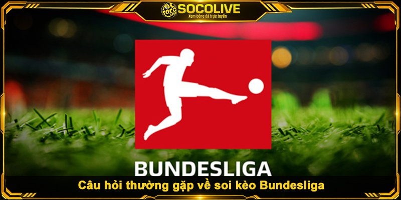Câu hỏi thường gặp về soi kèo Bundesliga