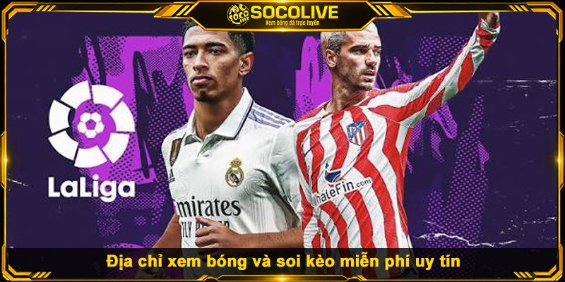 Địa chỉ xem bóng và soi kèo miễn phí uy tín