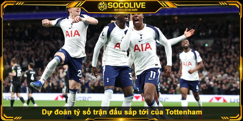 Dự đoán tỷ số trận đấu sắp tới của Tottenham