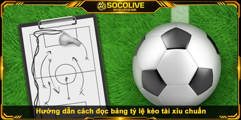 Hướng dẫn cách đọc bảng tỷ lệ kèo tài xỉu chuẩn