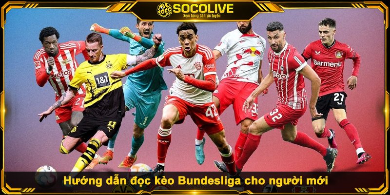 Hướng dẫn đọc kèo Bundesliga cho người mới