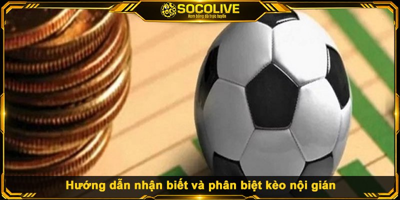Hướng dẫn nhận biết và phân biệt kèo nội gián
