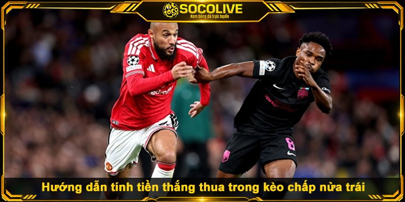 Hướng dẫn tính tiền thắng thua trong kèo chấp nửa trái
