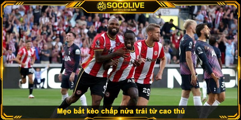 Mẹo bắt kèo chấp nửa trái từ cao thủ
