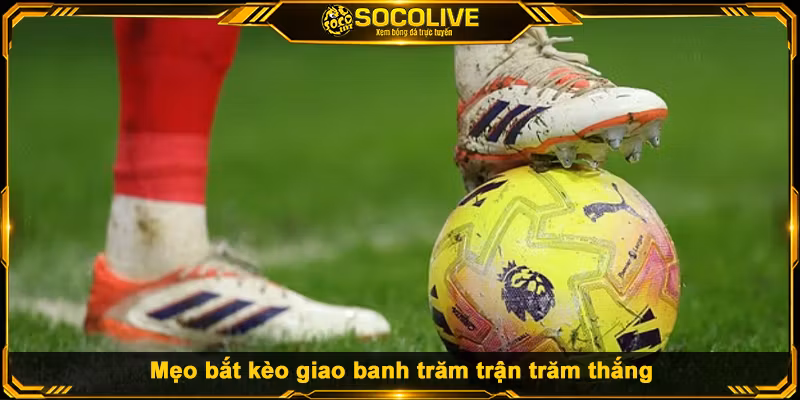 Mẹo bắt kèo giao banh trăm trận trăm thắng