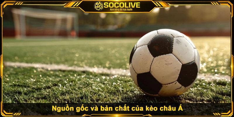 Nguồn gốc và bản chất của kèo châu Á