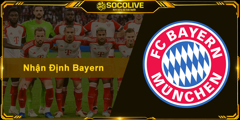 Nhận Định Bayern - Cẩm Nang Soi Kèo Mới Nhất 2026