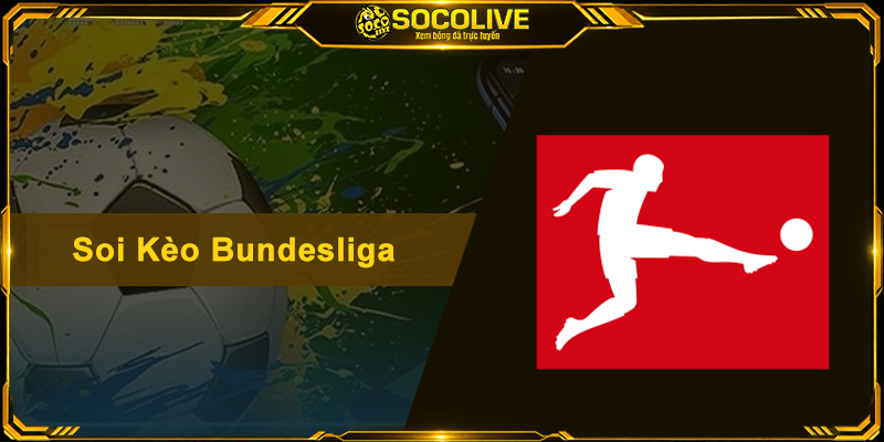 Soi Kèo Bundesliga - Bí Kíp Bắt Tỷ Lệ Kèo Đức Chuẩn Xác Nhất