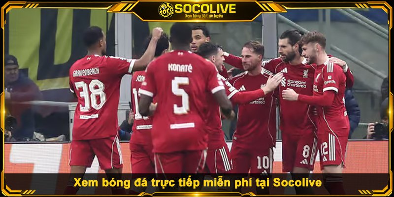 Xem bóng đá trực tiếp miễn phí tại Socolive
